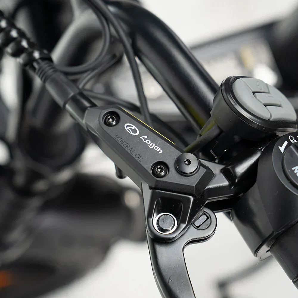 V8 Max 3.0 500 WATT + Achterzitje + Voetsteuntjes + Alarm